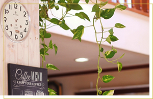 自分らしくリフォームしたい